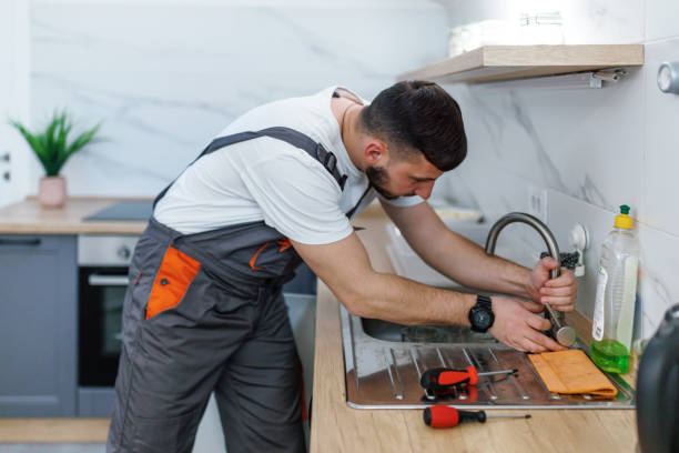 Best Residential Plumbing Services  in Dundee, MI